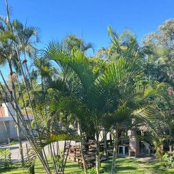Fotos da pousada